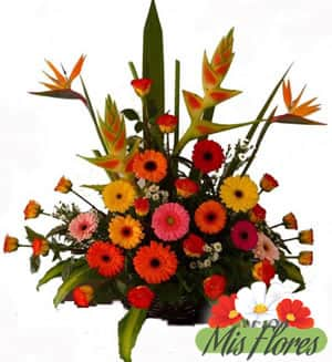 Especial Arreglo en gerberas. - Mis Flores Bogotá.com